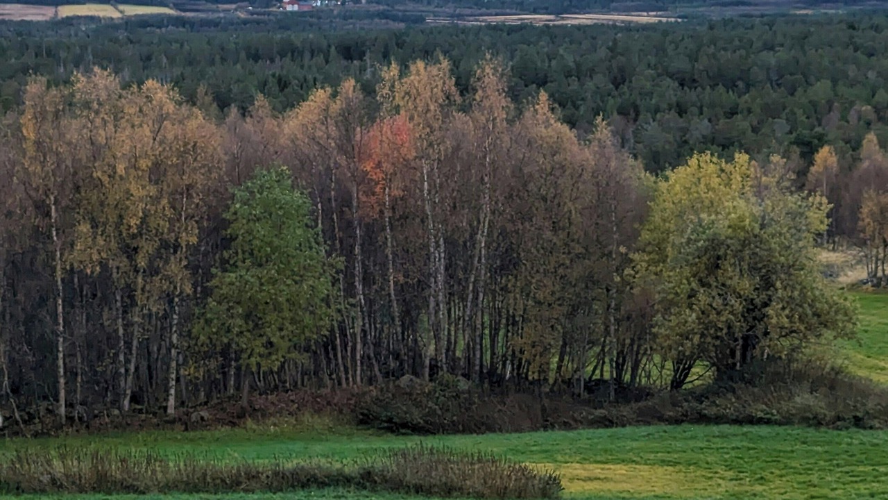 Photo of Others in Oppdal