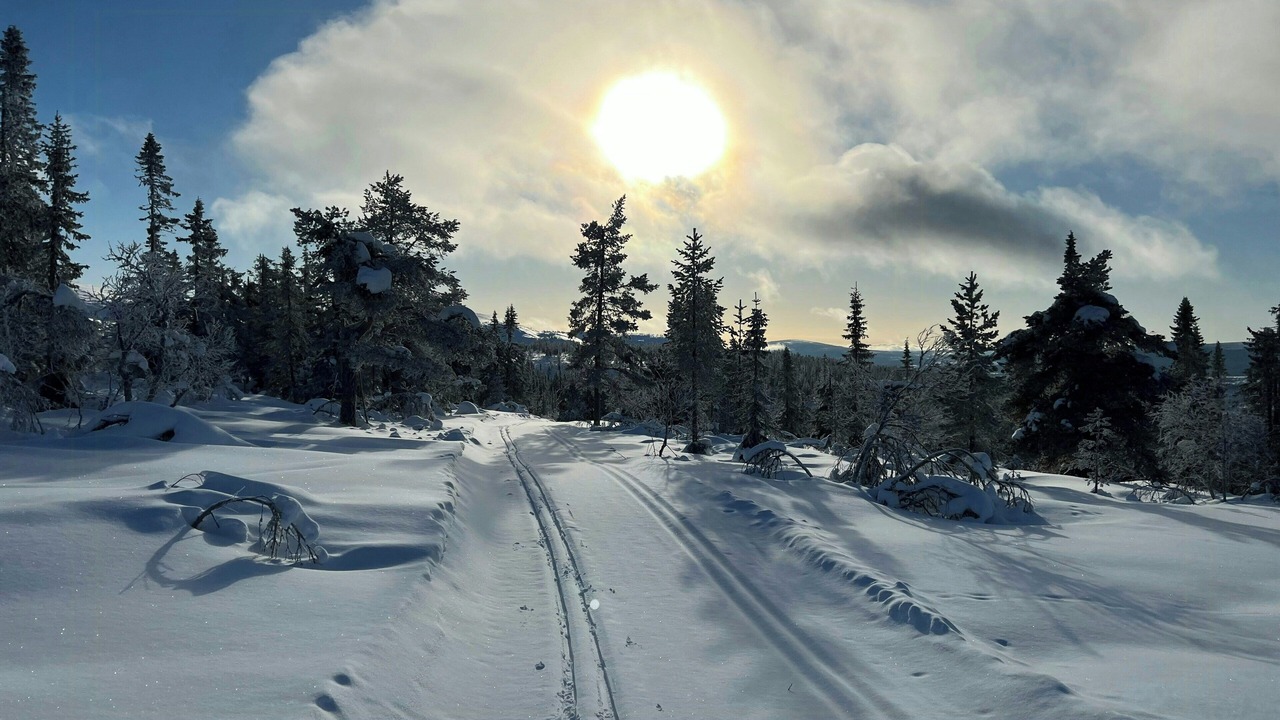 Photo of Others in Ljordal