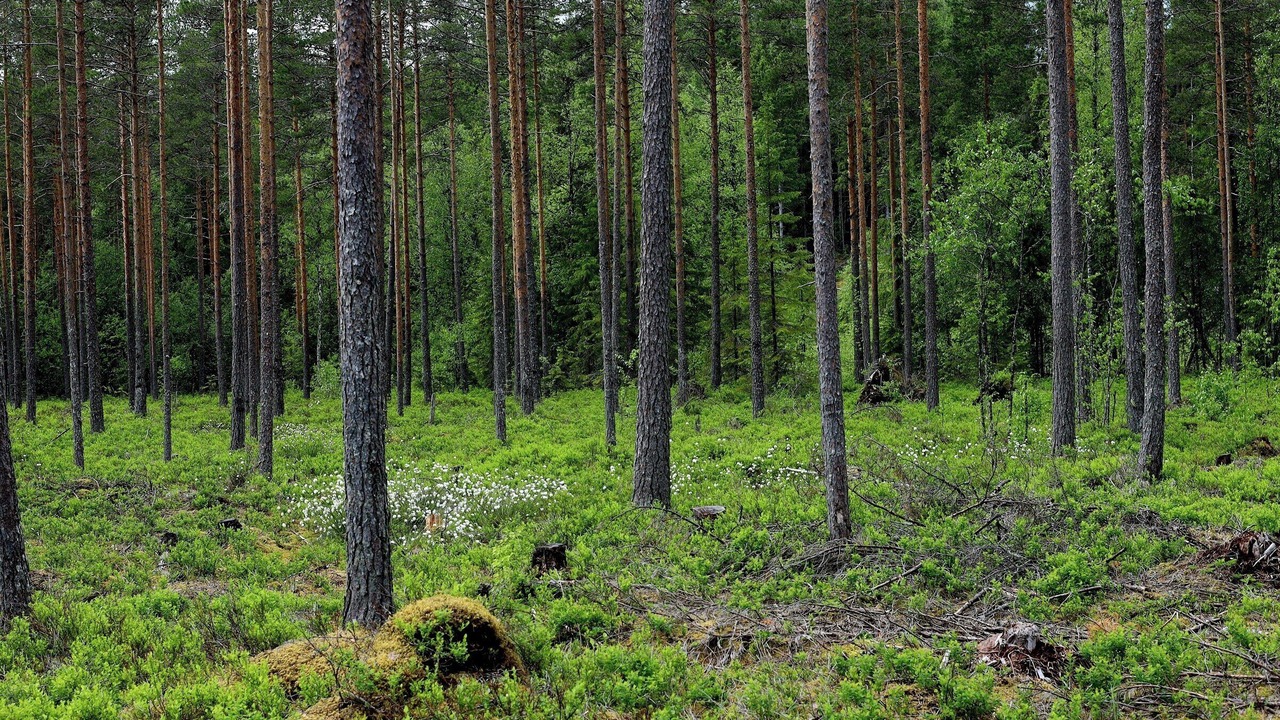 Photo of Others in Kongsvinger