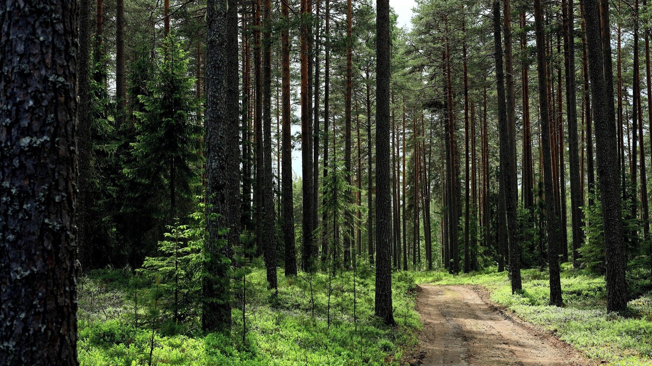 Photo of Others in Kongsvinger