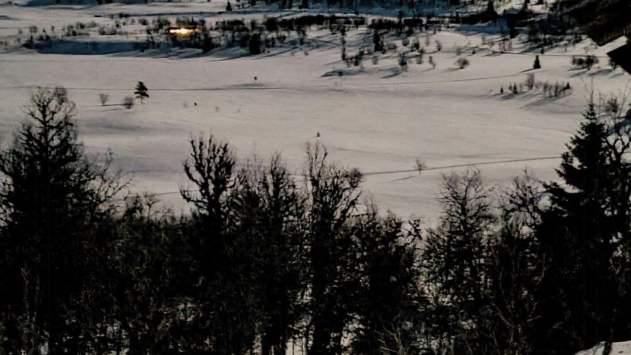 Photo of Others in Nore og Uvdal