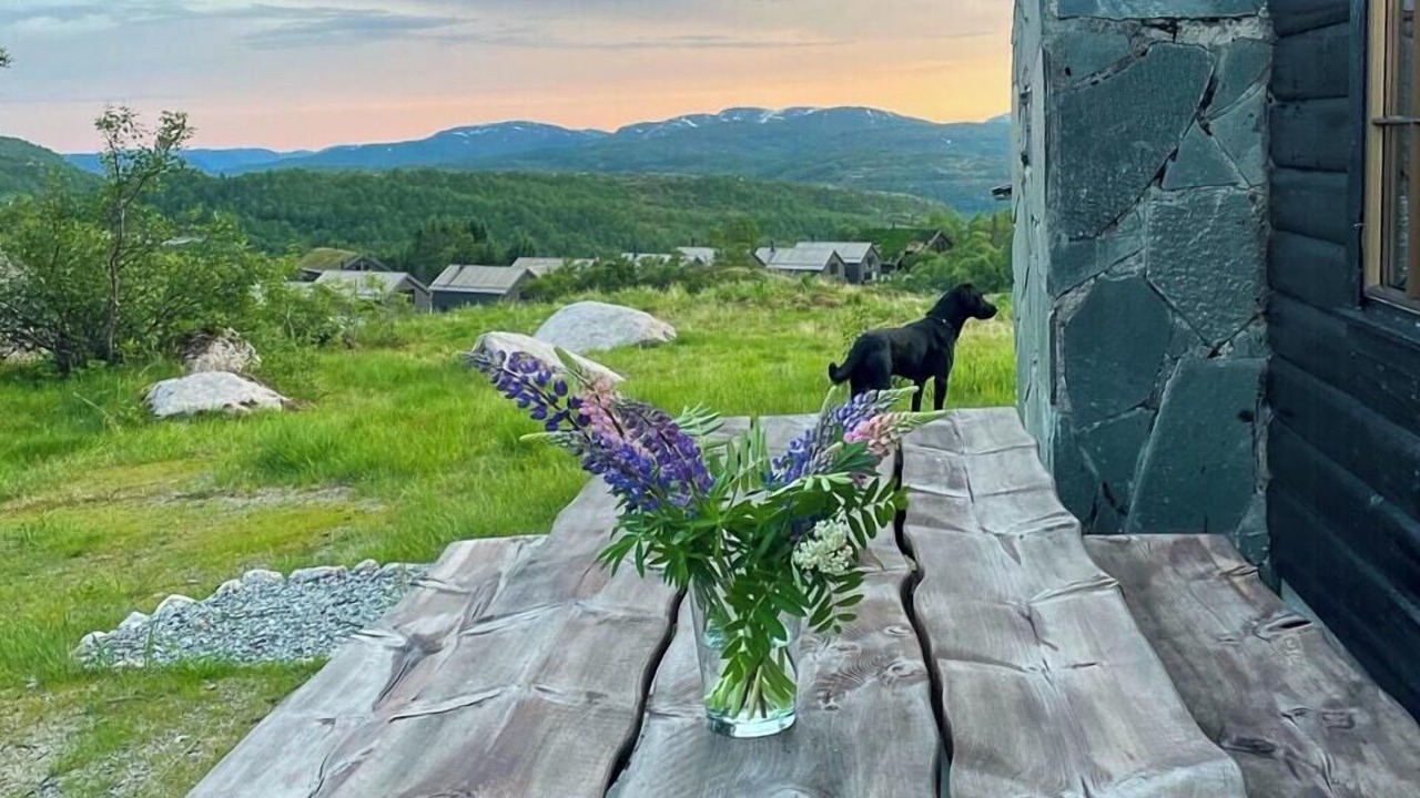 Photo of Outdoor in Sirdal