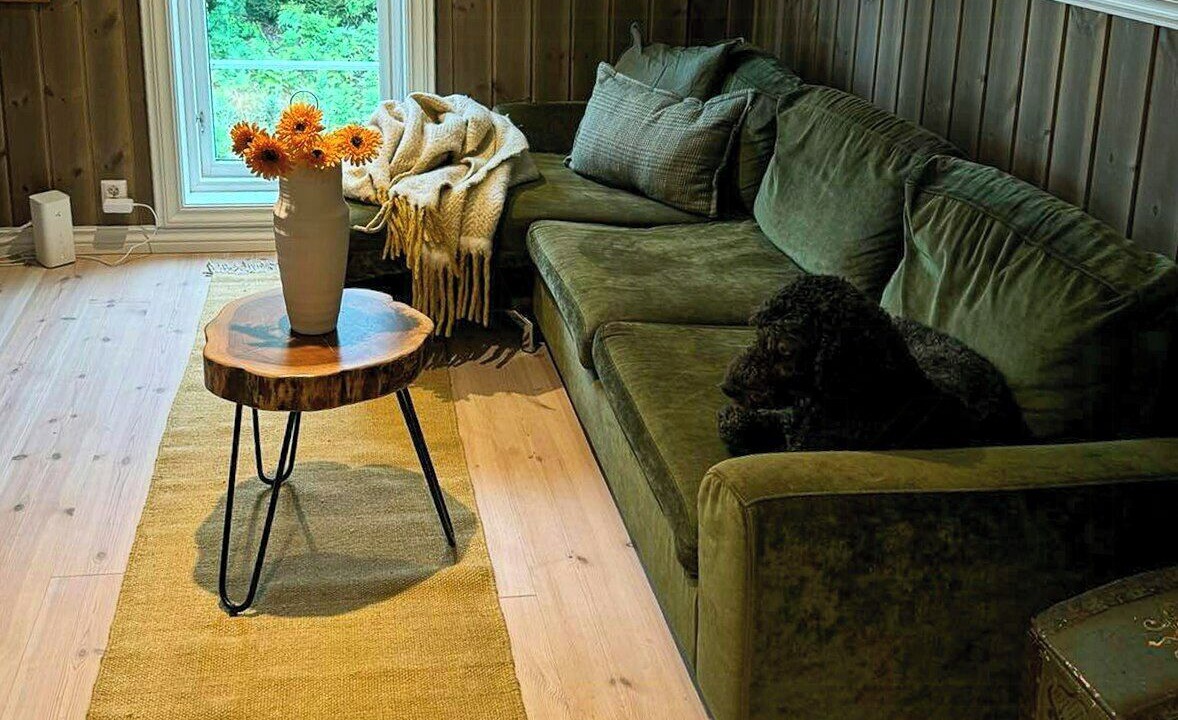 Photo of Livingroom in Holmsbu