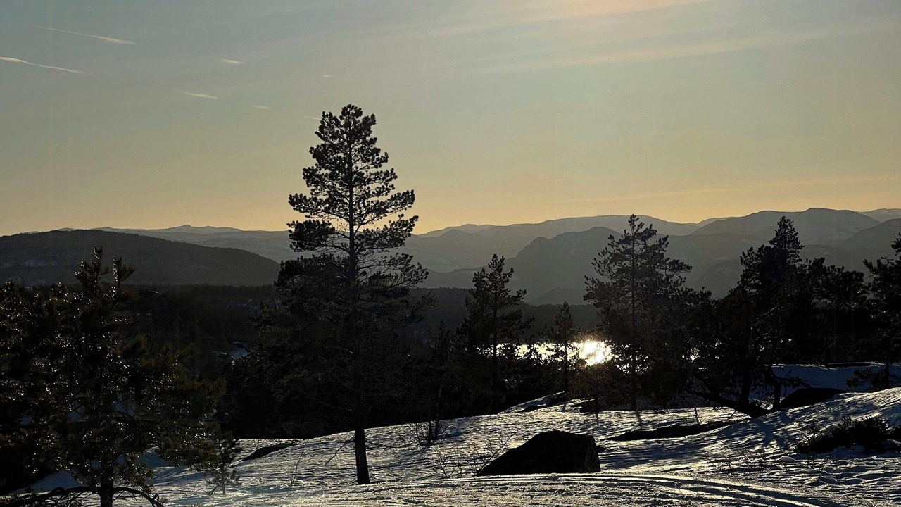 Photo of Others in Nissedal