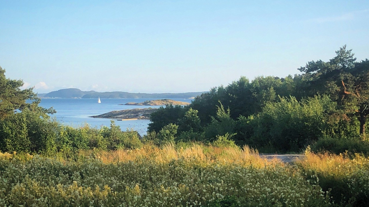 Photo of Others in Hakenaset