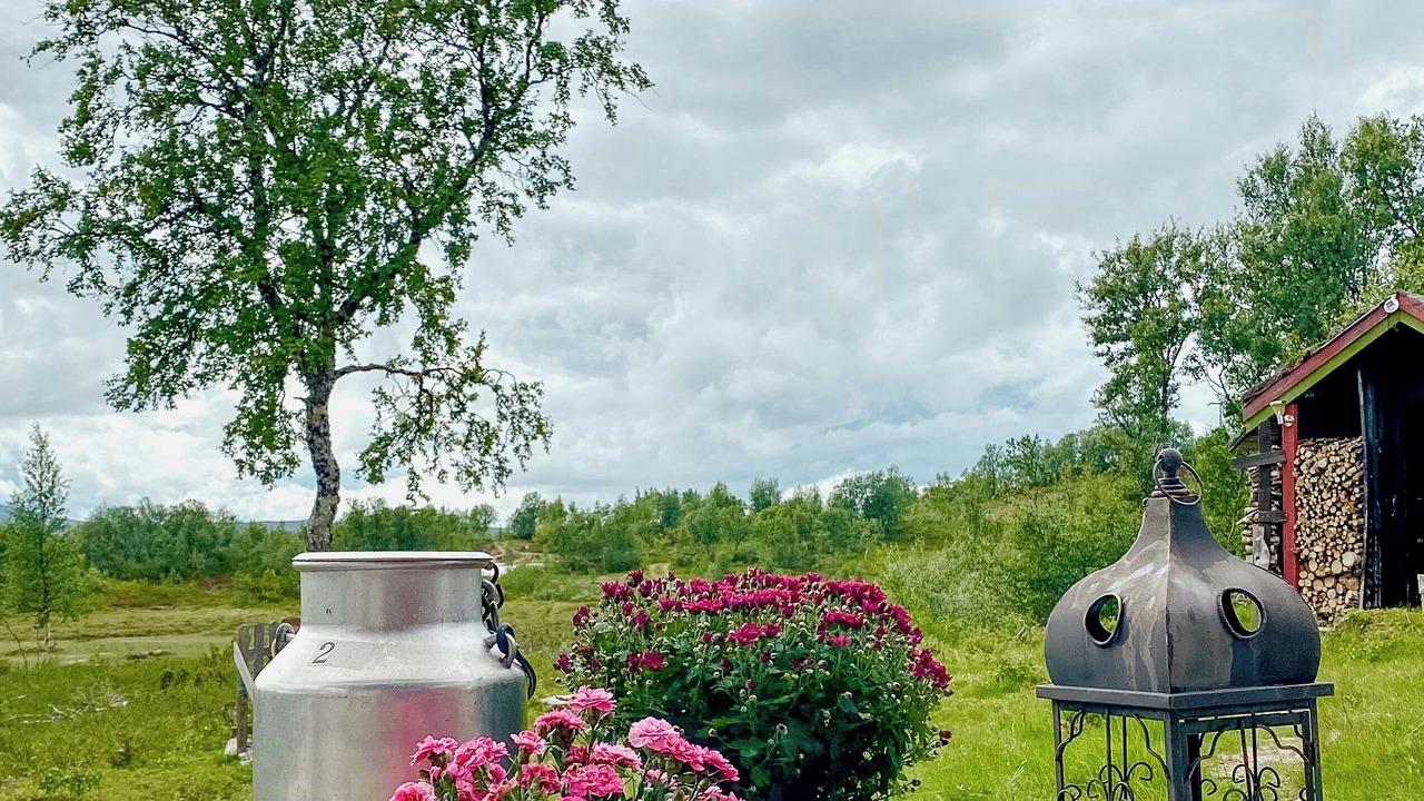 Photo of Outdoor in Holtalen