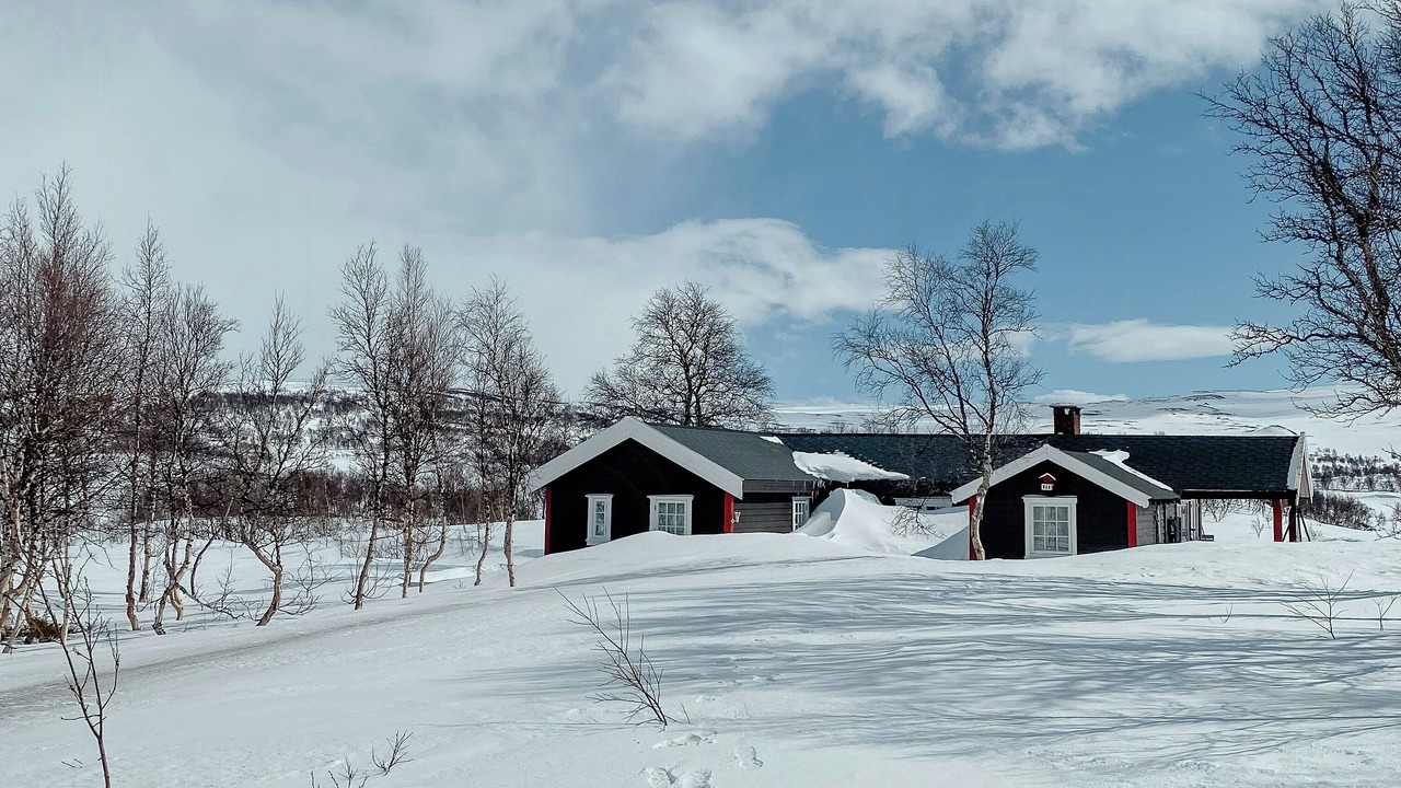 Photo of Outdoor in Holtalen
