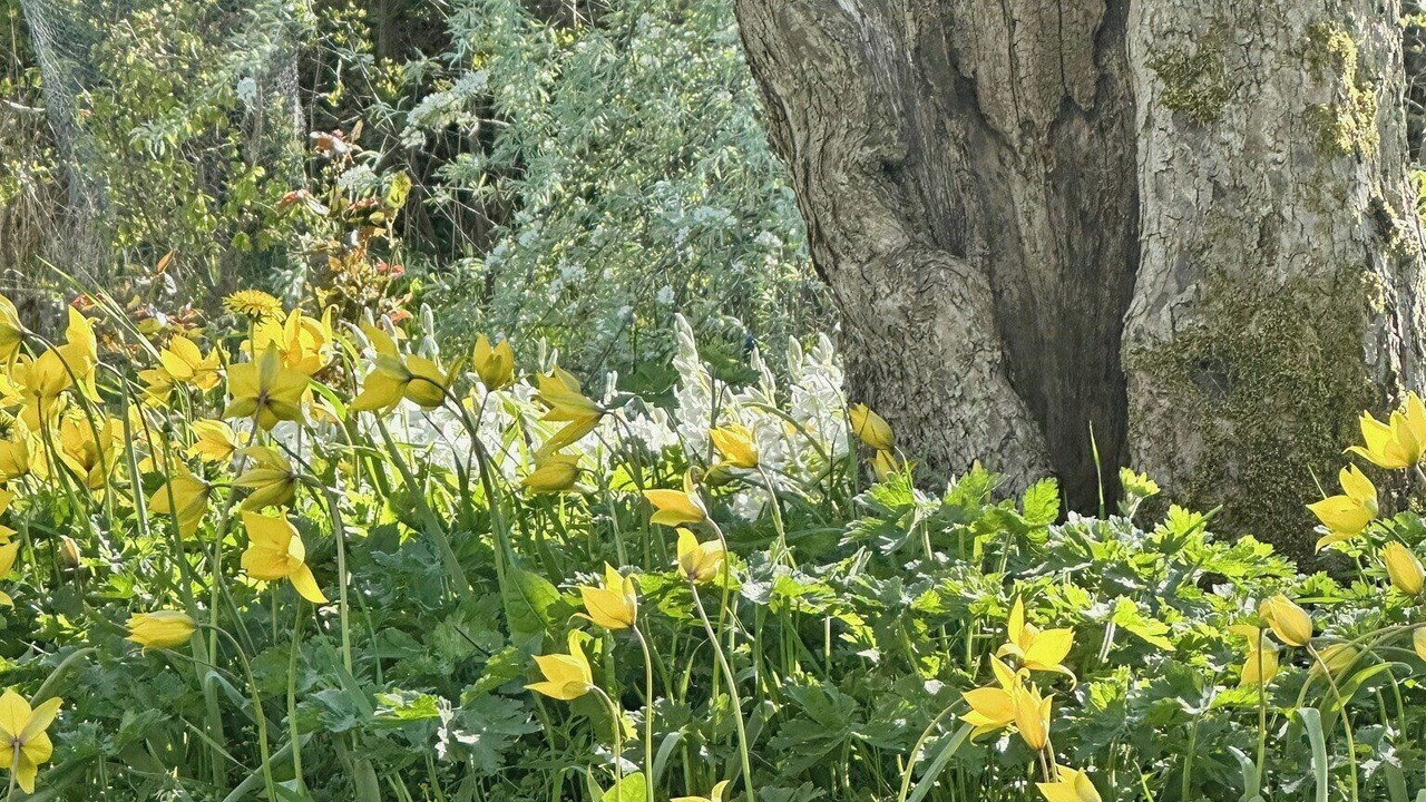 Photo of Outdoor in Farjestaden