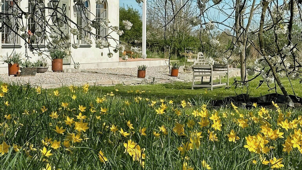 Photo of Outdoor in Farjestaden