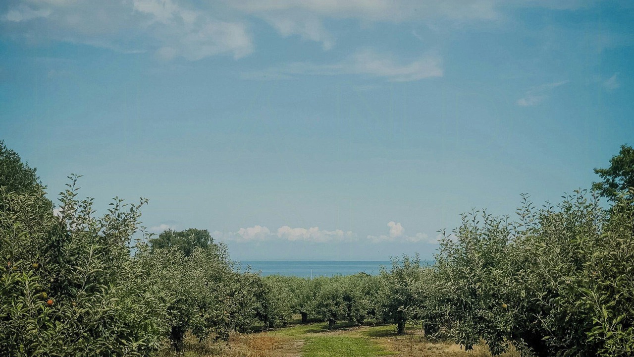 Photo of Others in Kivik