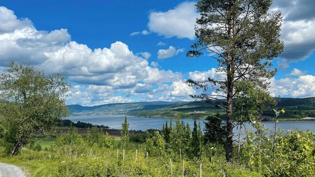 Photo of Others in Lillehammer