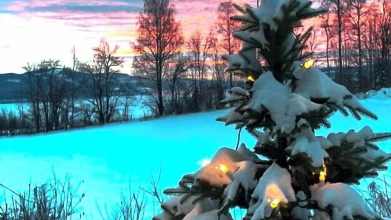 Photo of Others in Lillehammer