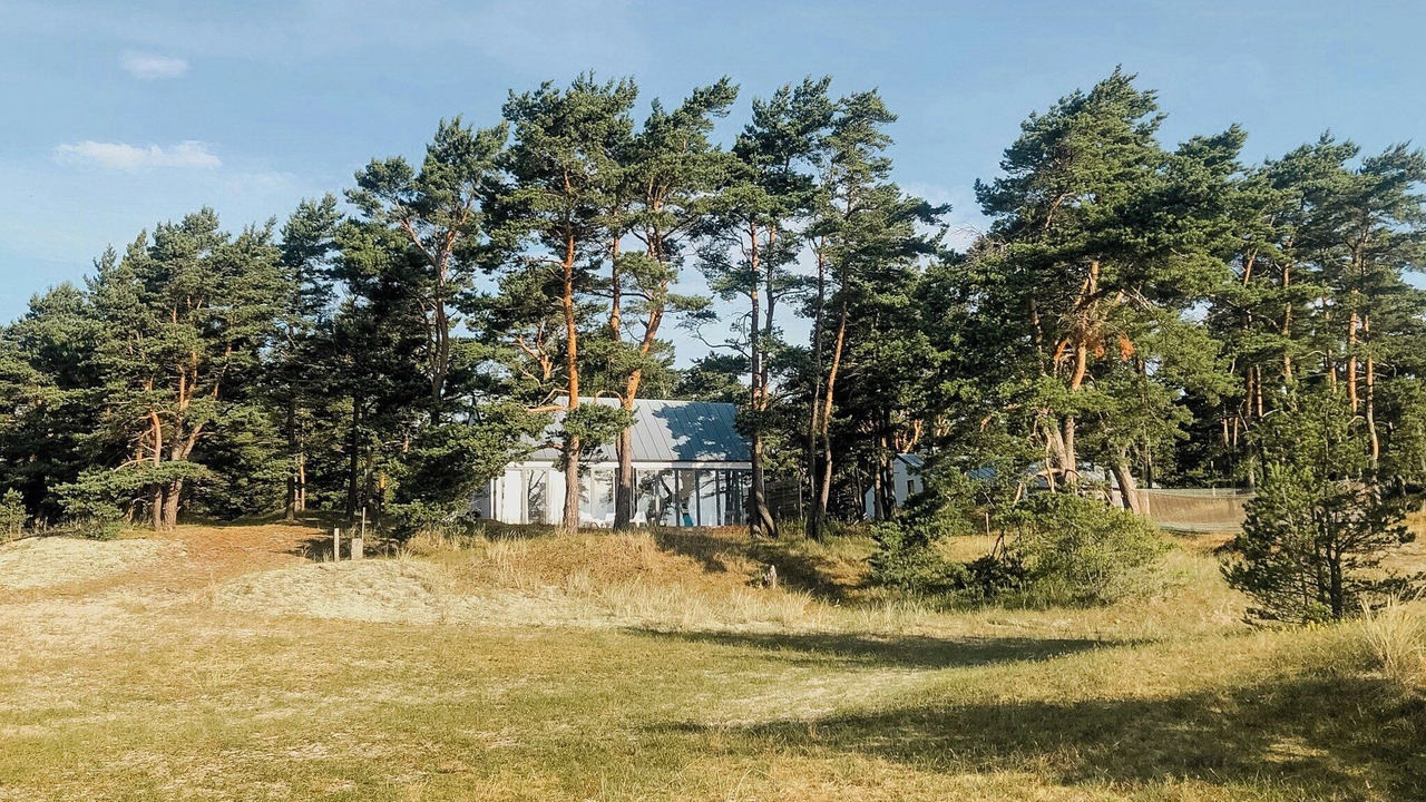 Photo of Others in Yngsjo