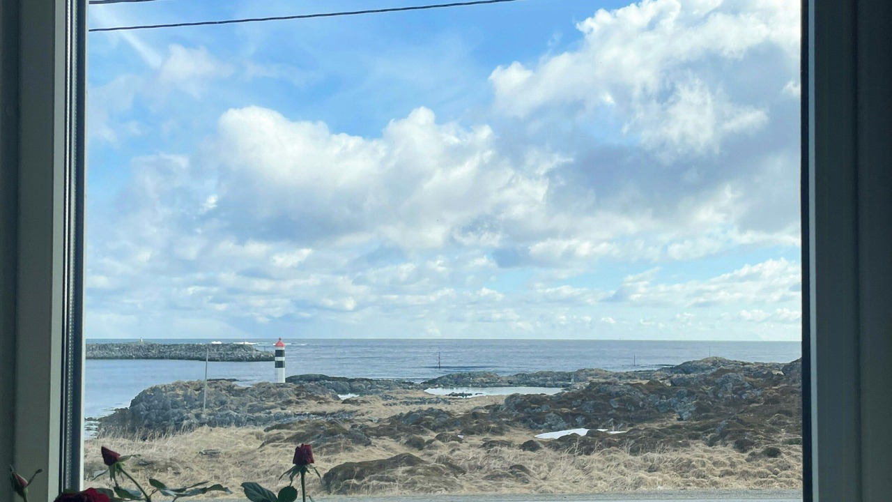 Photo of Others in Gamvik