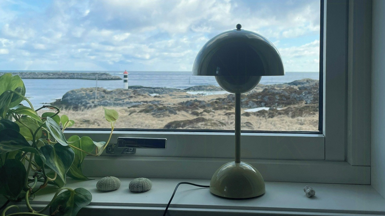 Photo of Others in Gamvik