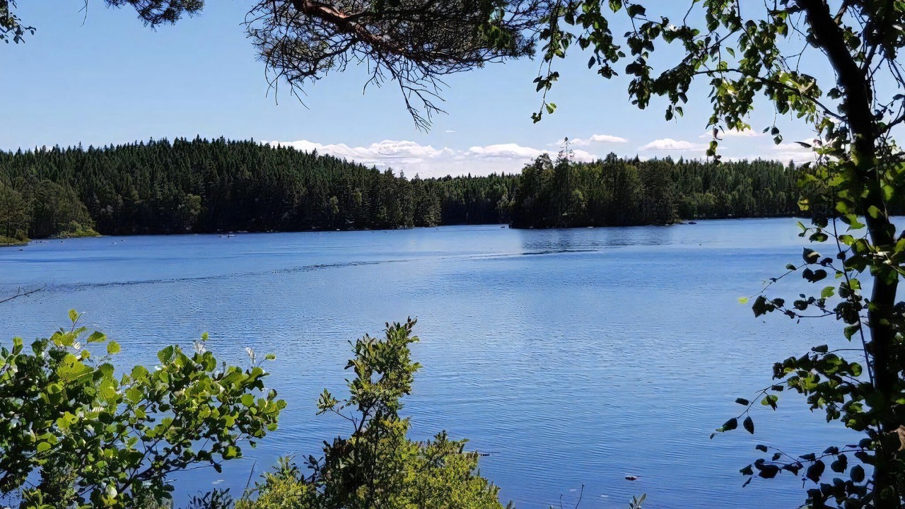 Photo of Others in Vittsjo