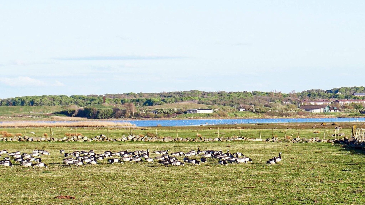 Photo of Outdoor in Varberg
