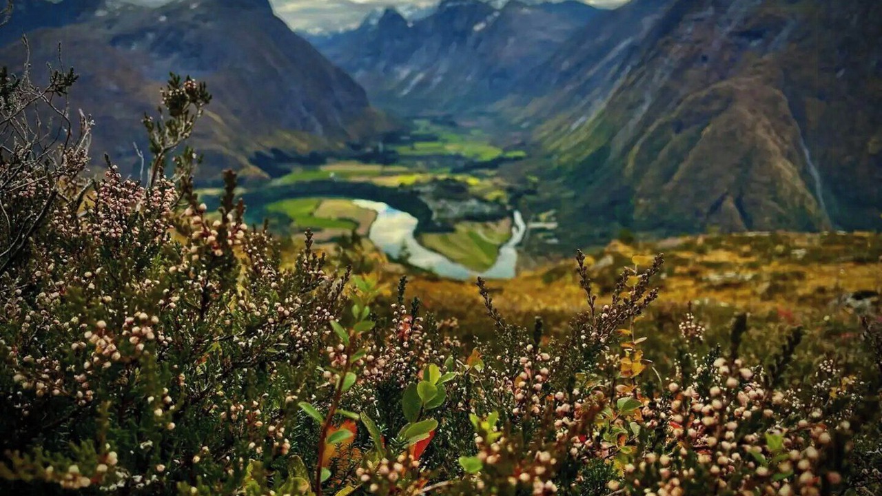 Photo of Others in Andalsnes