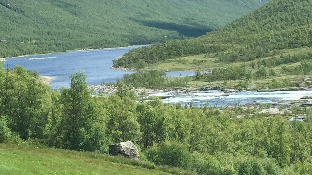 Photo of Others in Rauland