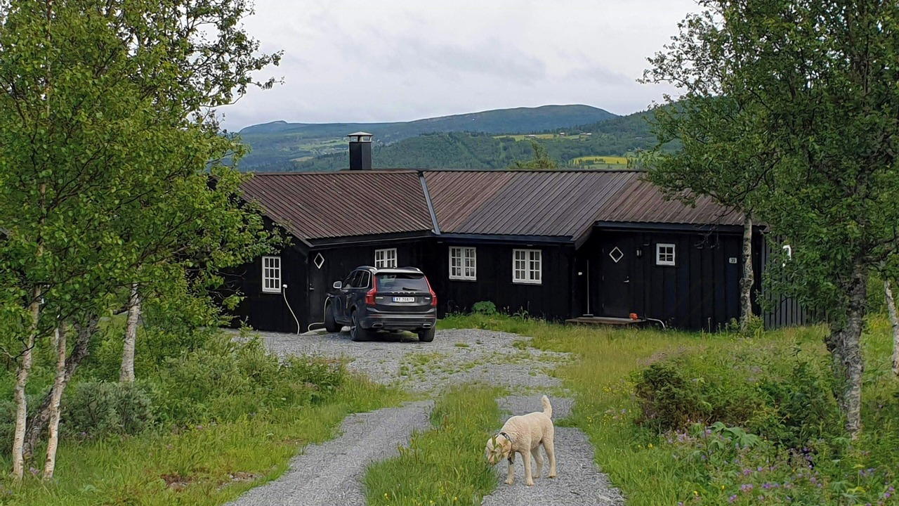 Photo of Outdoor in Lykkja