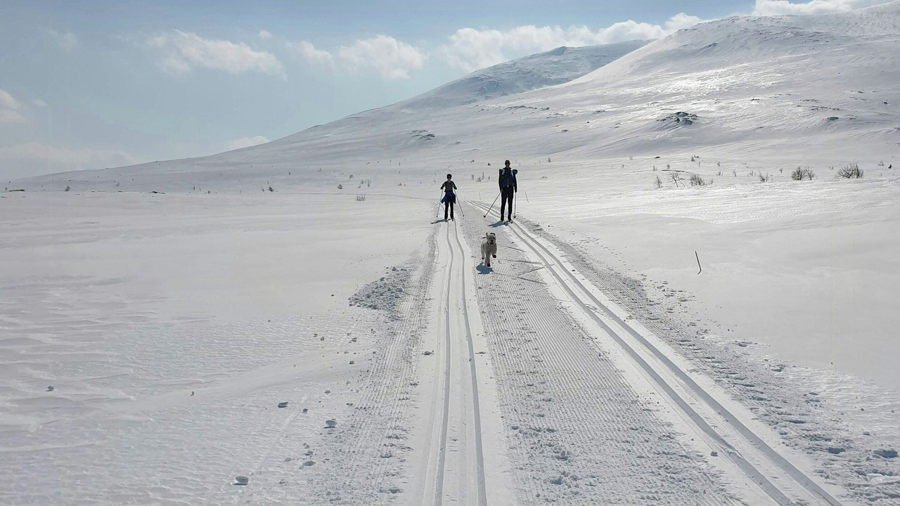 Photo of Others in Lykkja
