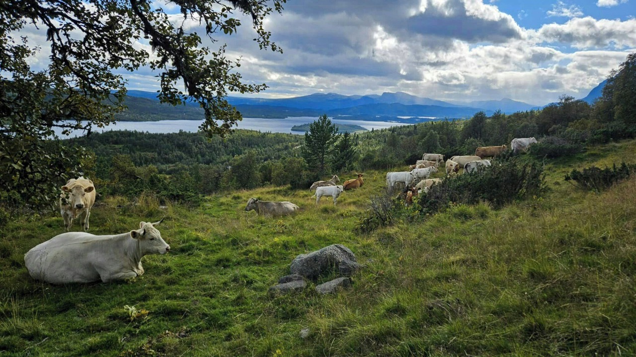 Photo of Others in Lykkja