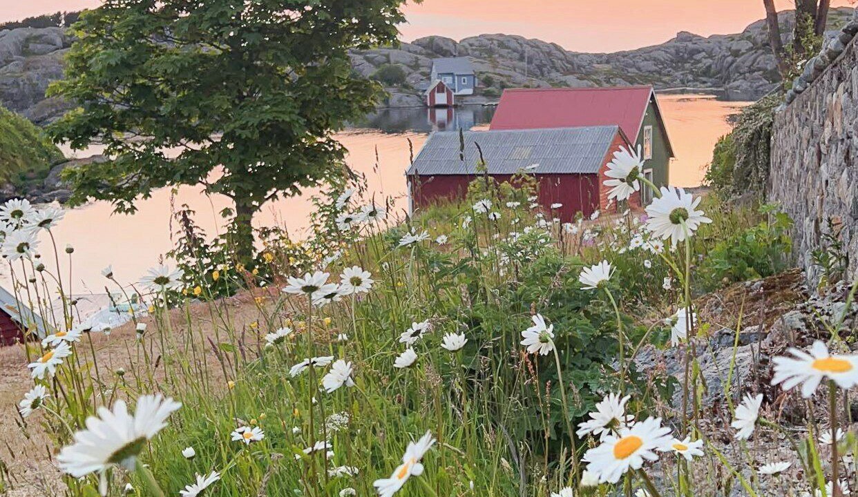 Photo of Others in Solund