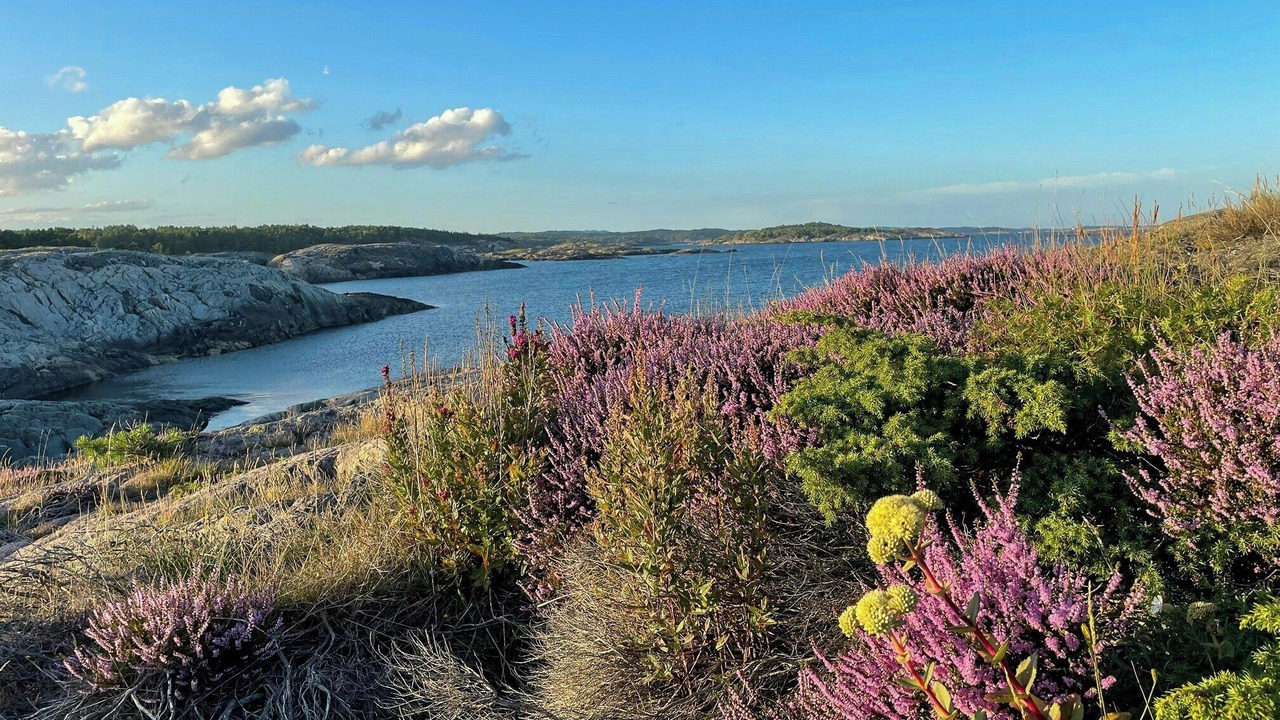 Photo of Others in Grimstad