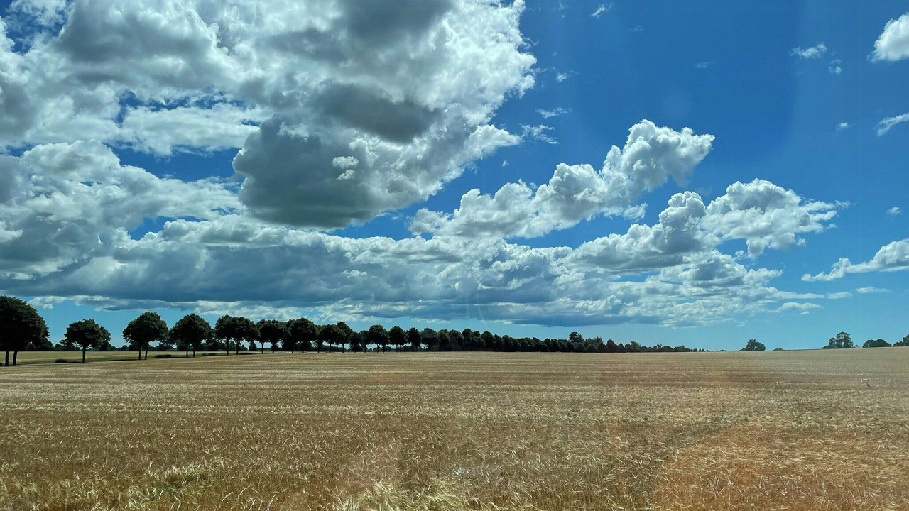 Photo of Others in Tomelilla