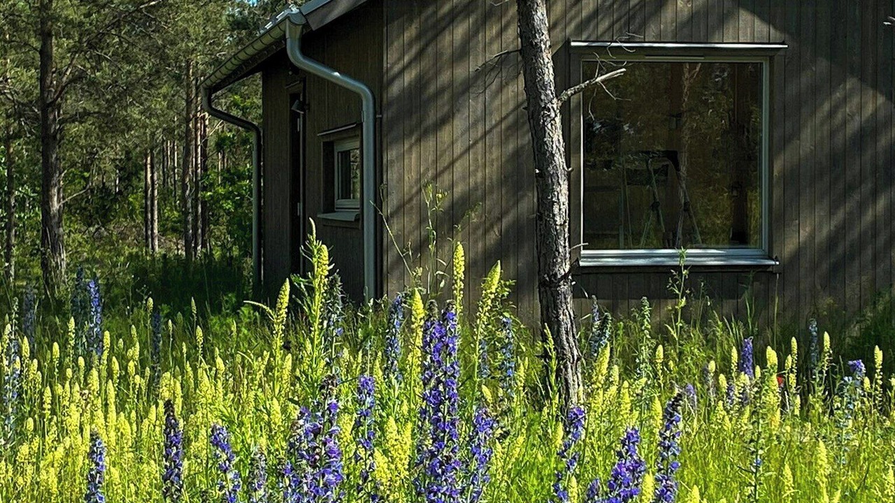 Photo of Outdoor in Klintehamn