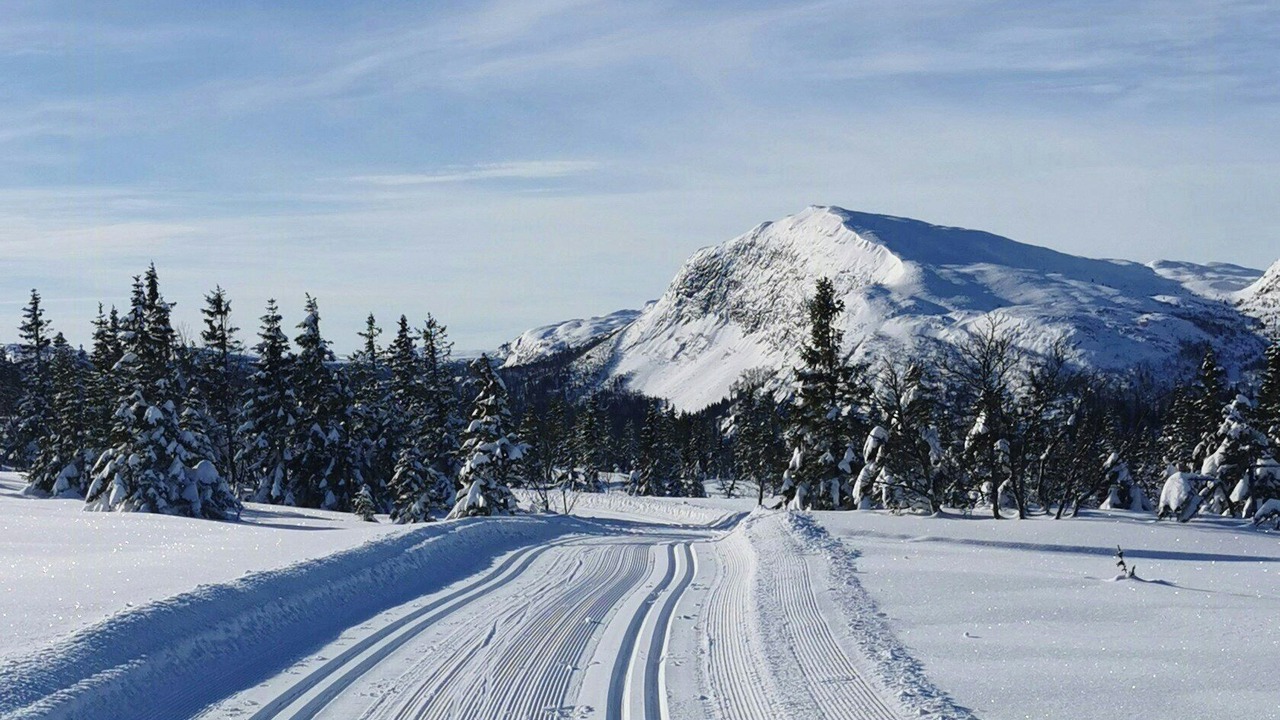 Photo of Others in Vikberget