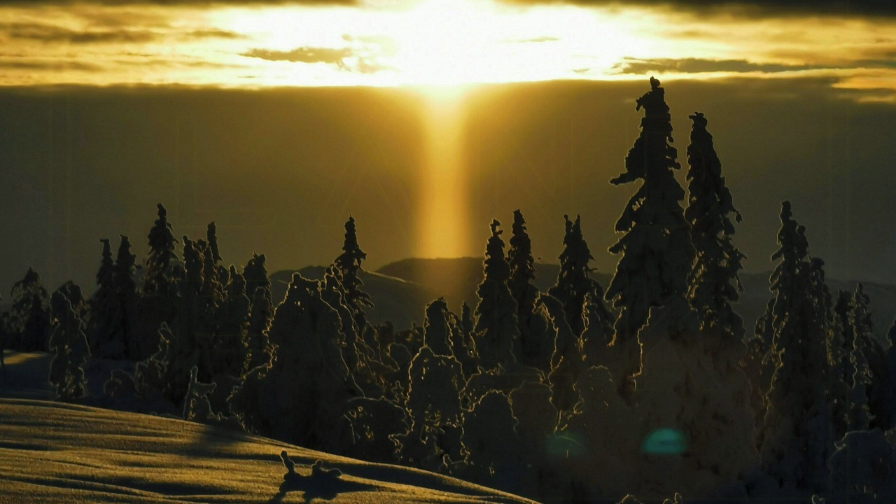 Photo of Others in Vikberget