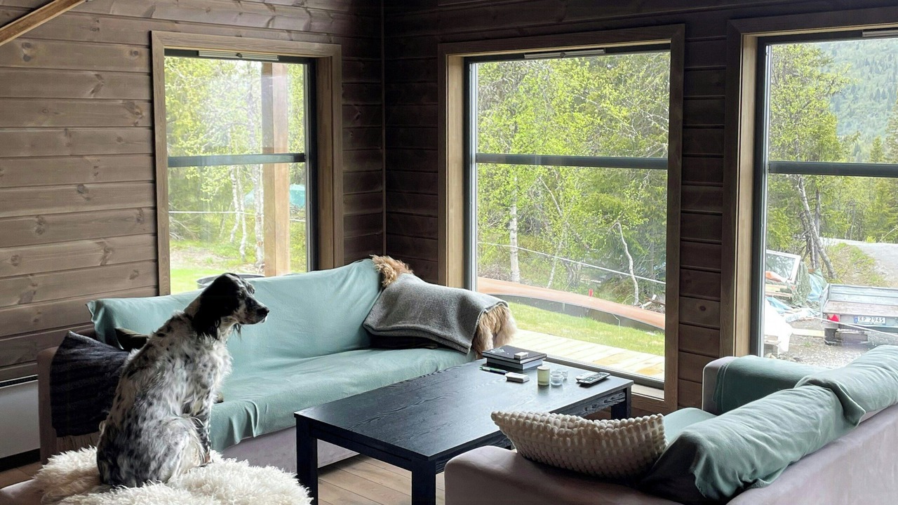 Photo of Livingroom in Vang