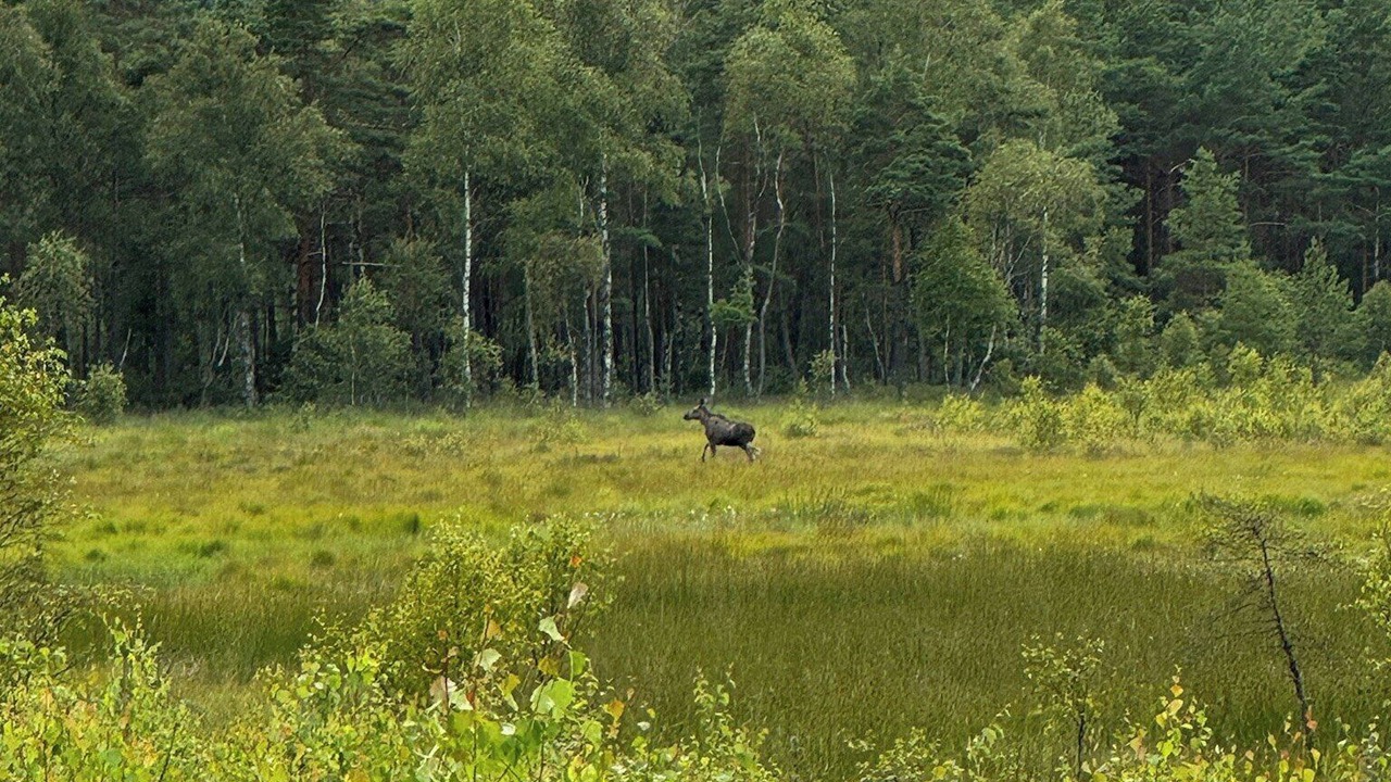 Photo of Others in Markaryd Municipality