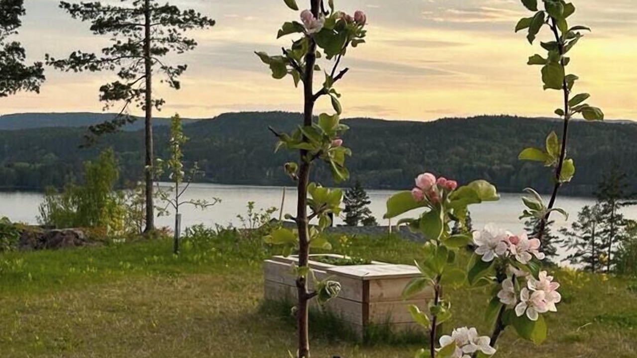 Photo of Outdoor in Hennseid