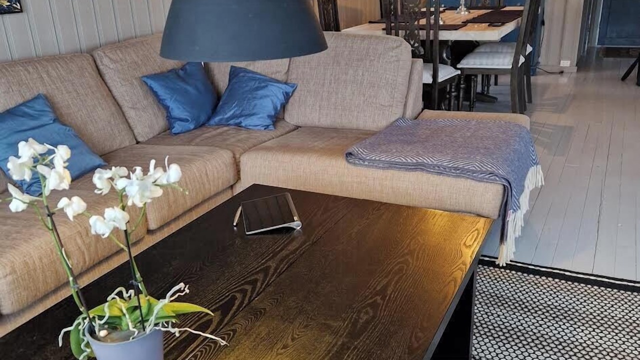 Photo of Livingroom in Steinsetbygdi