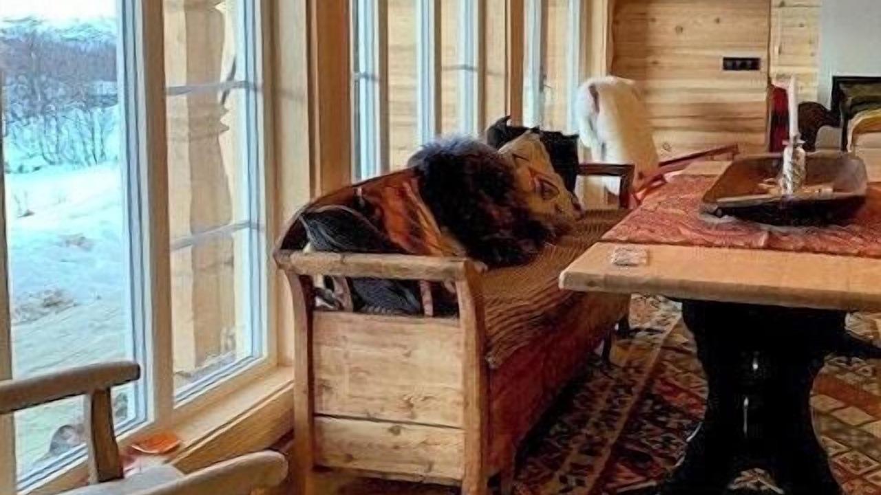 Photo of Livingroom in Hol Municipality