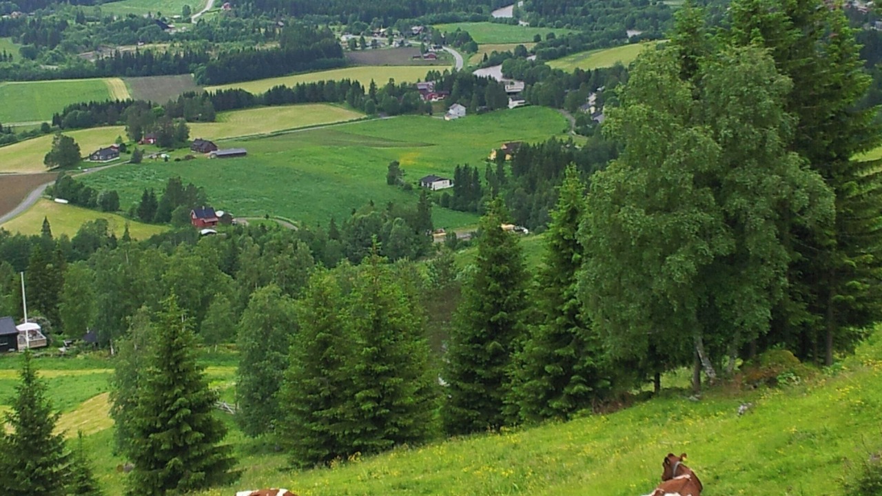Photo of Others in Gausdal