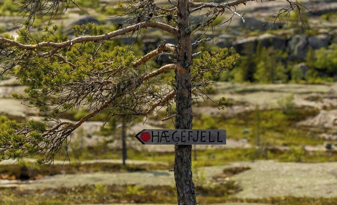 Photo of Others in Kviteseid