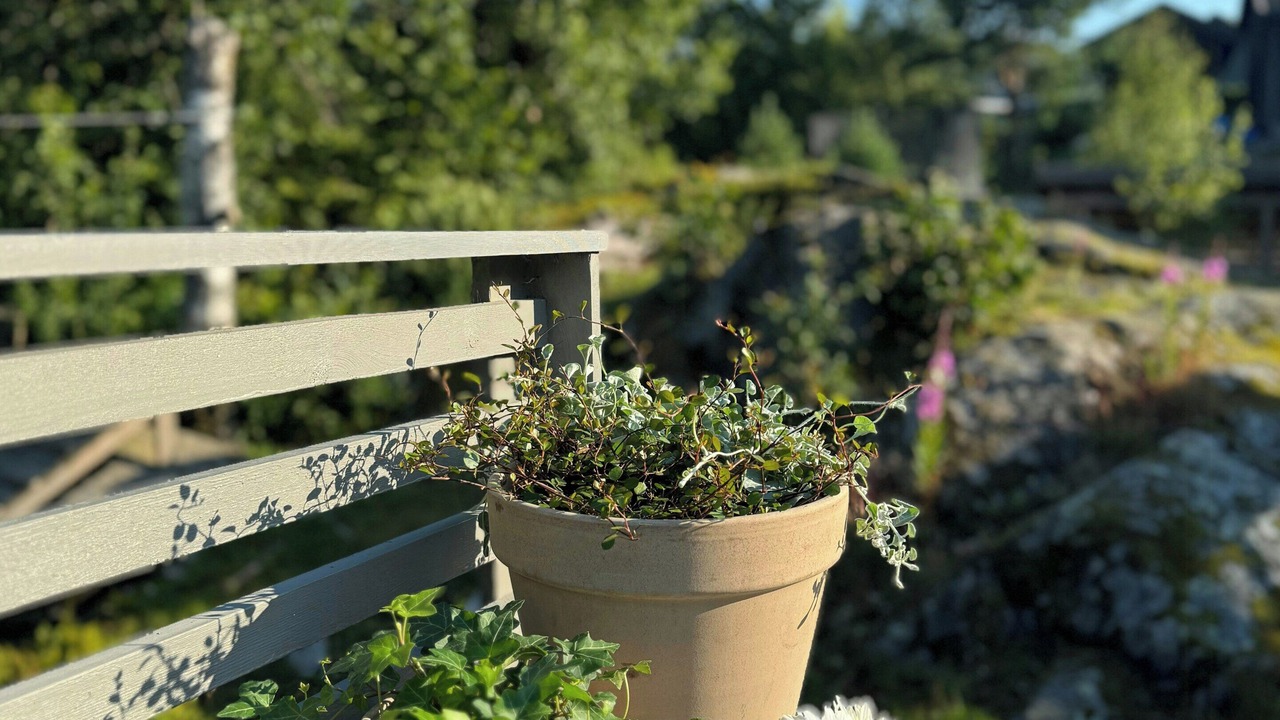 Photo of Outdoor in Lyngdal