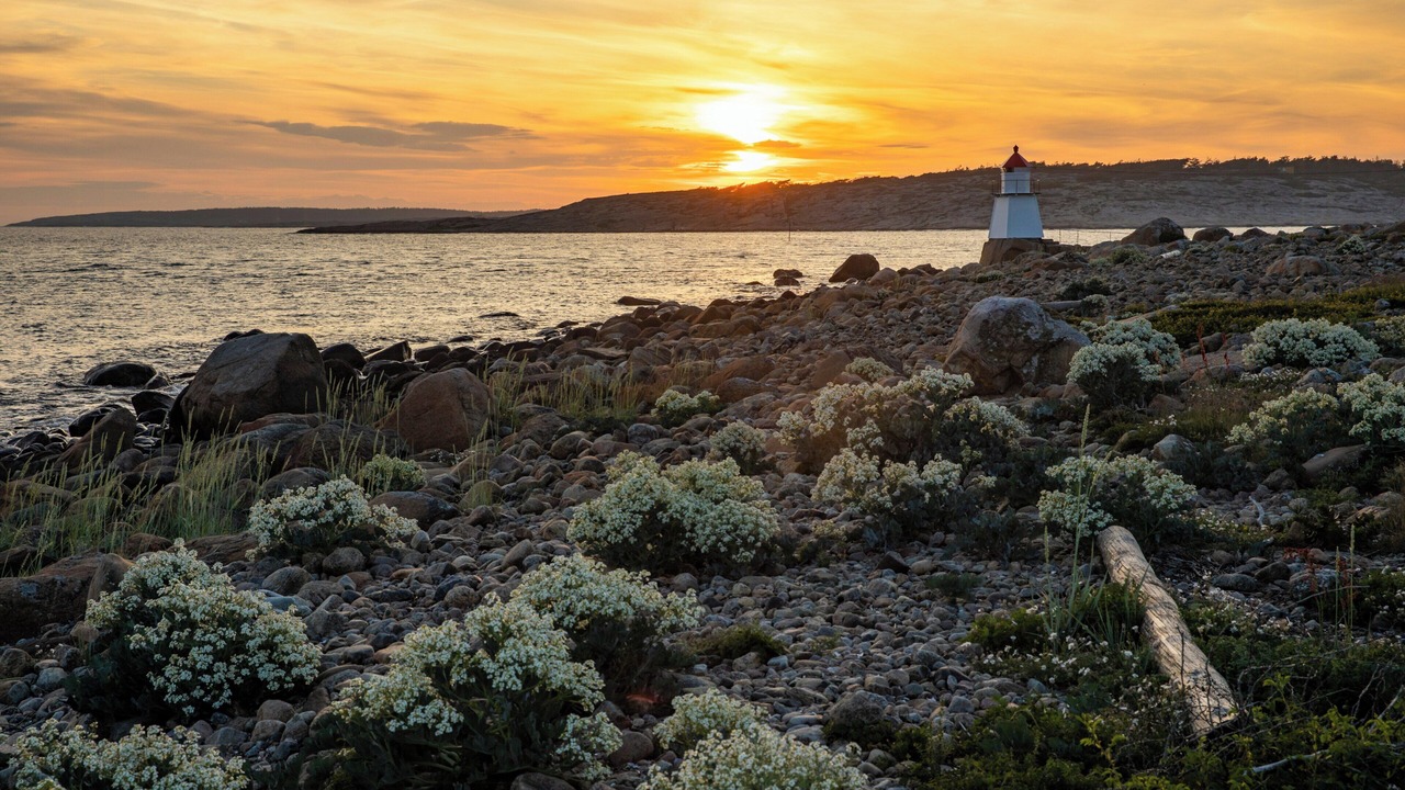 Photo of Others in Hvaler