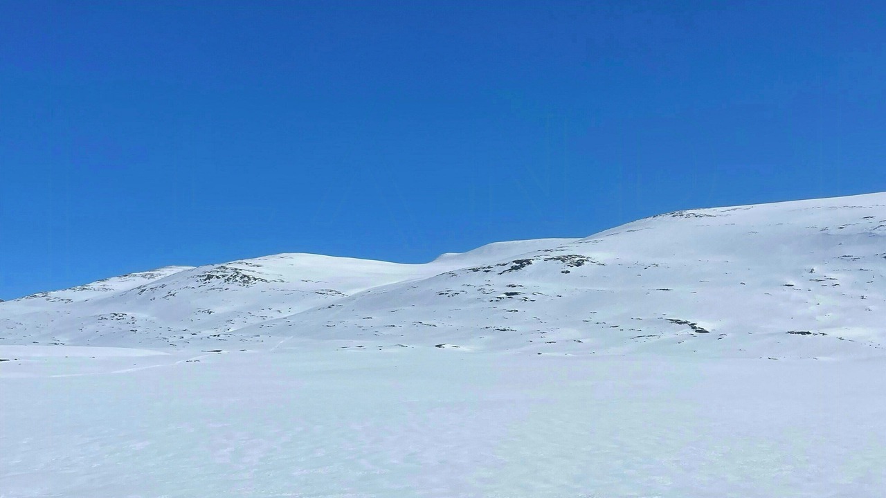 Photo of Others in Bjorli