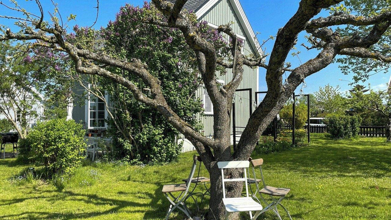 Photo of Outdoor in Odeshog
