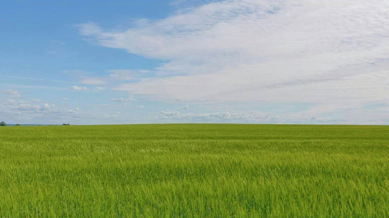 Photo of Others in Odeshog