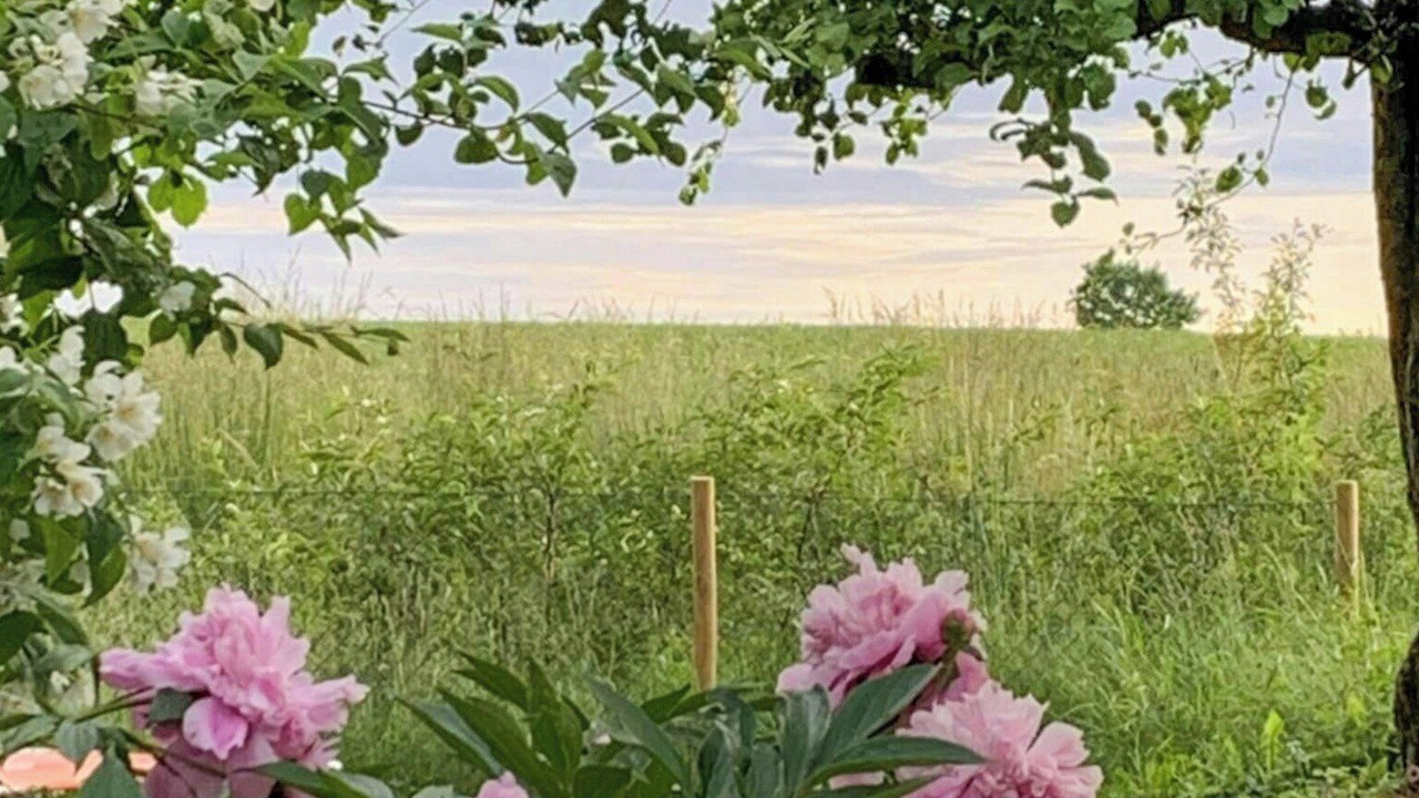 Photo of Outdoor in Odeshog