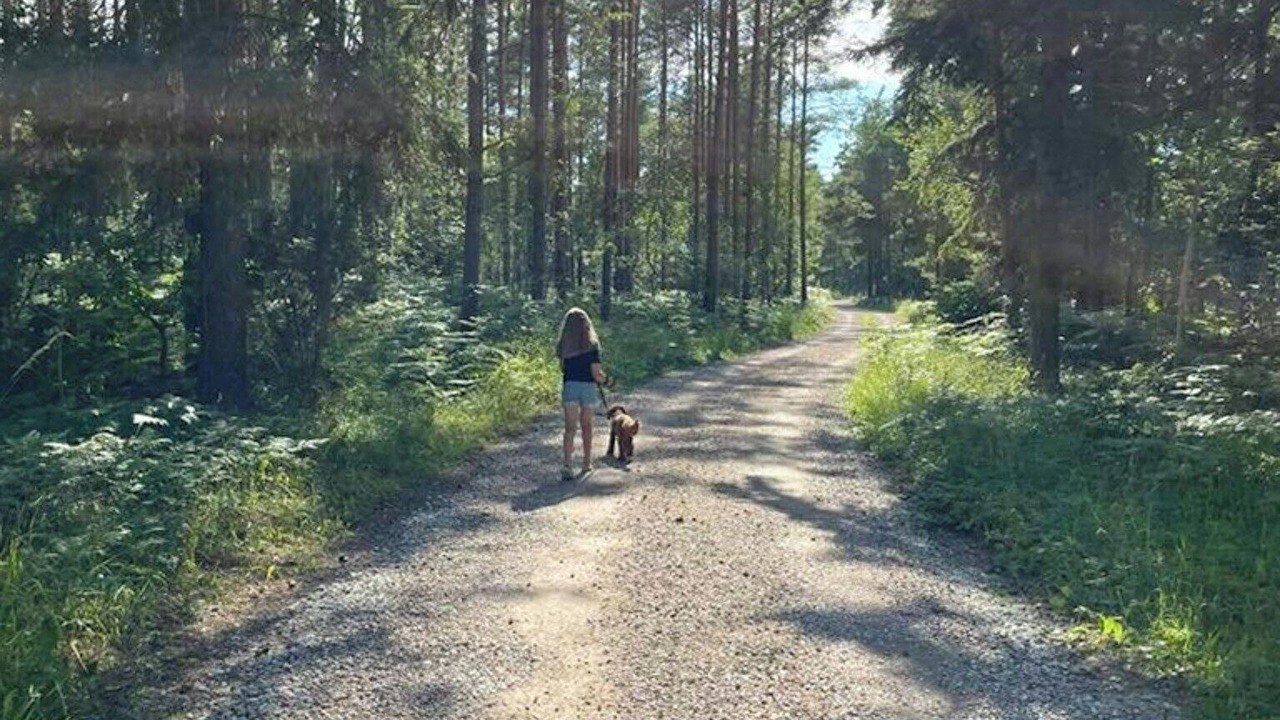 Photo of Others in Klintehamn