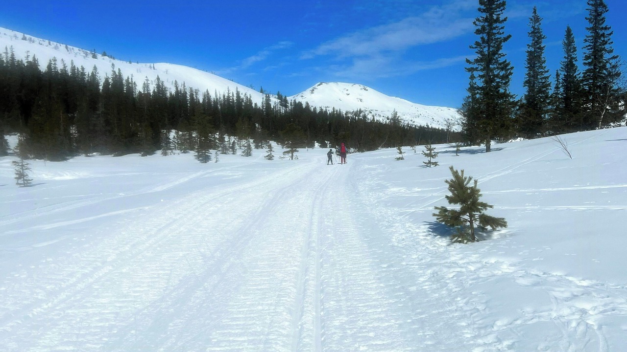 Photo of Others in Rollag