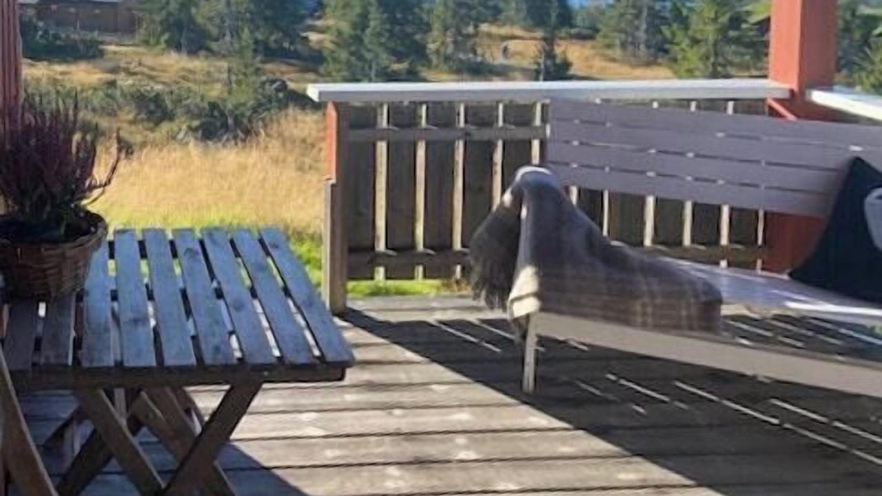 Photo of Patio Balcony in Sjusjoen