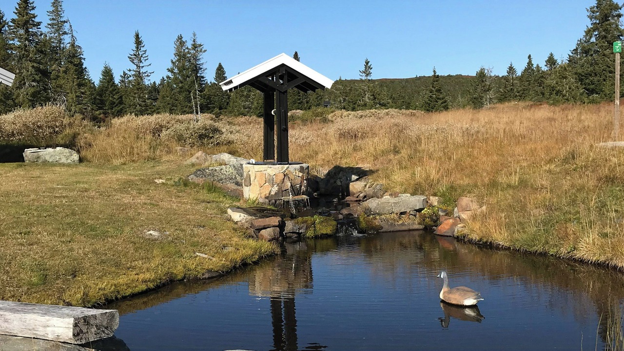 Photo of Others in Sjusjoen