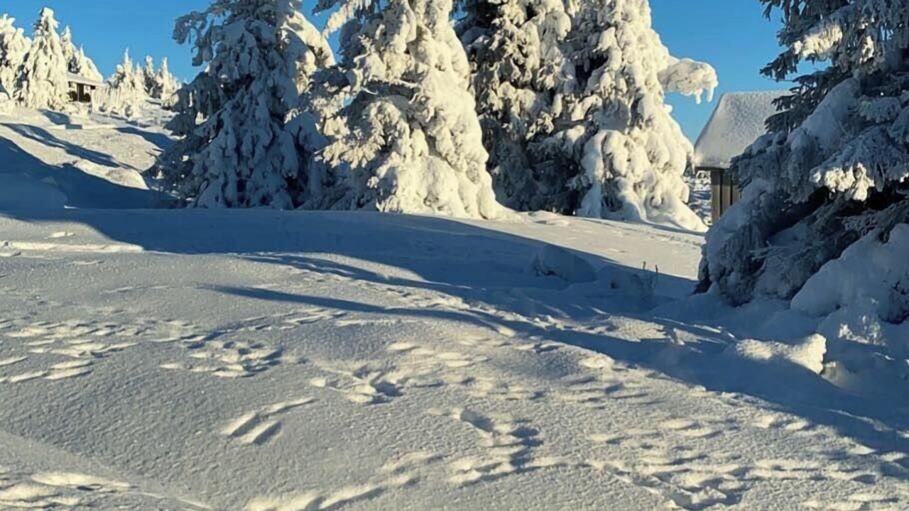 Photo of Others in Sjusjoen